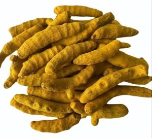 Yellow Turmeric Finger