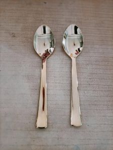 Stainless Steel Spoon