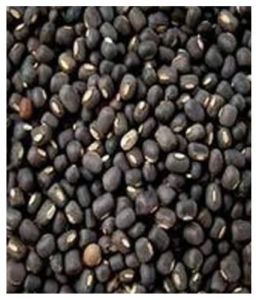 Sabut Urad Dal
