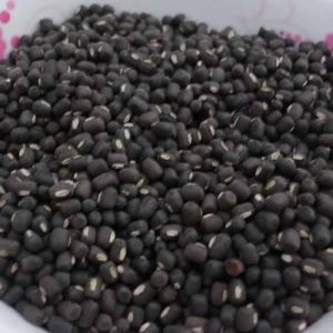 Sabut Urad Dal