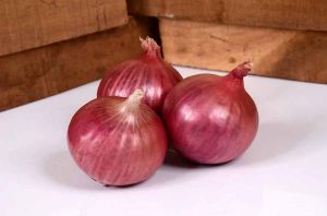 N53 Fresh Red Onion