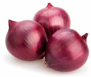 Nhrdf Red Onion