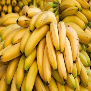 Fresh Hajipur Banana