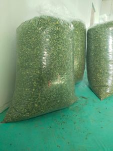 Organic Moringa Powder