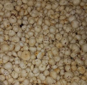 4 Suta Plus Phool Makhana