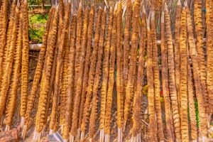 Organic Cow Dung Stick