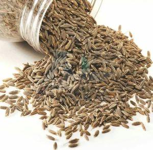 Cumin Seeds