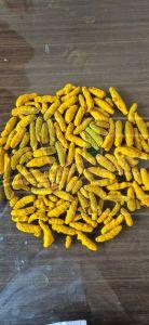 Turmeric Finger