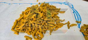 Turmeric Finger