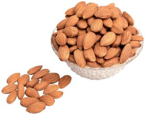 American Almond Nut