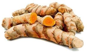Fresh Turmeric Roots