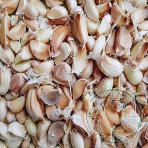 Dried Garlic Cloves