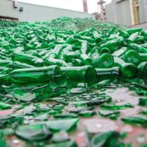 Sorted Green Glass Bottle Scrap