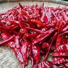 Dried Red Chilli