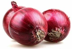 45mm Premium Quality Nashik Red Onion