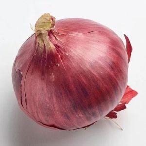 70mm Jumbo Size Nashik Red Onion