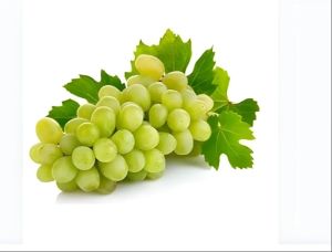 A Grade Fresh Green Grapes