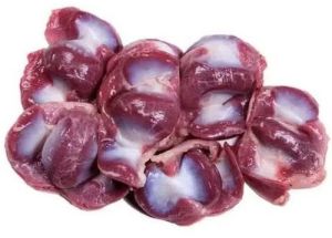 Fresh Chicken Gizzard