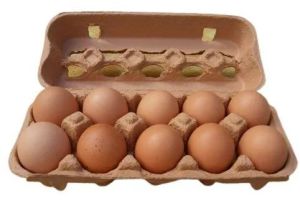 10 Pieces Fresh Brown Eggs