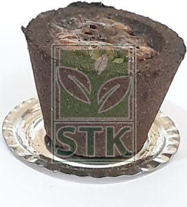 Yaga Dasangam Sambrani Cup