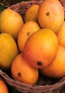 Benishan Mangoes