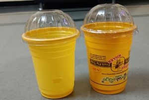 Plastic Fruit Fly Glass Trap