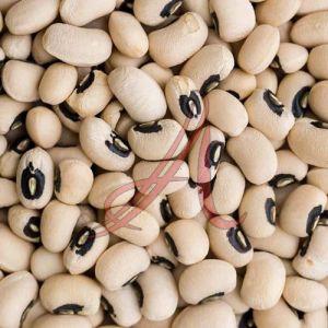 Black Eyed Peas