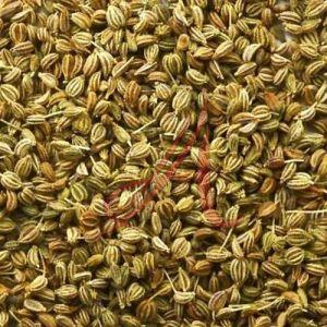 Carom Seeds