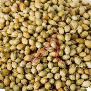 Coriander Seeds