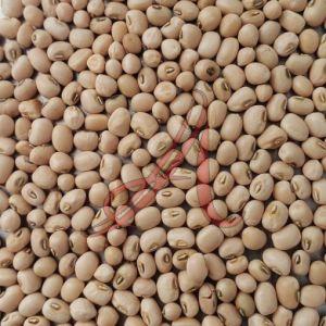 Cow Peas
