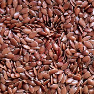 Flax Seeds