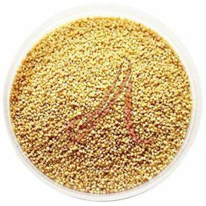 Foxtail Millet Seeds