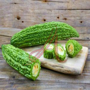 Fresh Bitter Gourd