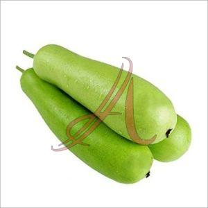 Fresh Gourd