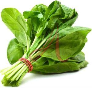 Fresh Leafy Vegetables