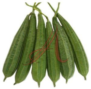 Fresh Luffa Acutangula