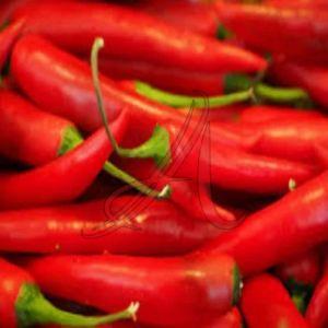 Fresh Red Chilli