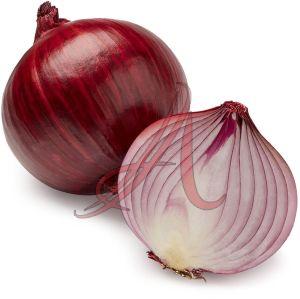 Fresh Red Onion