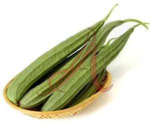 Fresh Ridge Gourd