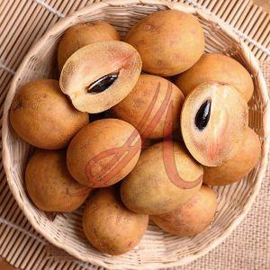 Fresh Sapodilla