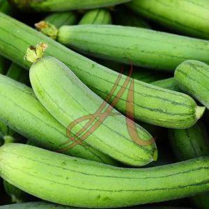 Fresh Sponge Gourd