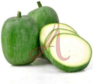 Fresh Wax Gourd