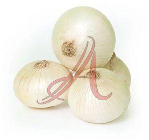 Fresh White Onion