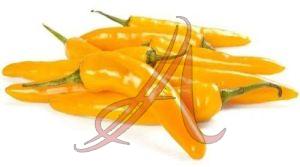 Fresh Yellow Chilli