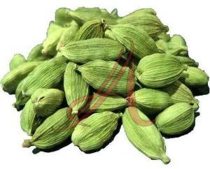 Green Cardamom
