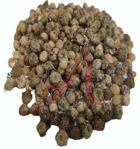 Kulekhara Herbal Seeds