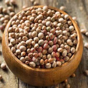 Pigeon Peas