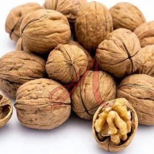 Shelled Walnuts