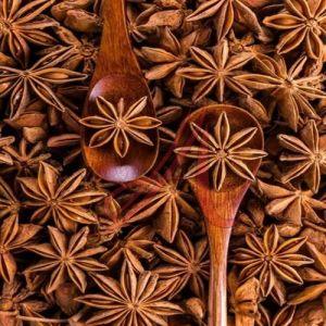 Star Anise Seeds