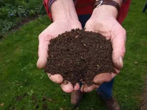 Bio Organic Manure